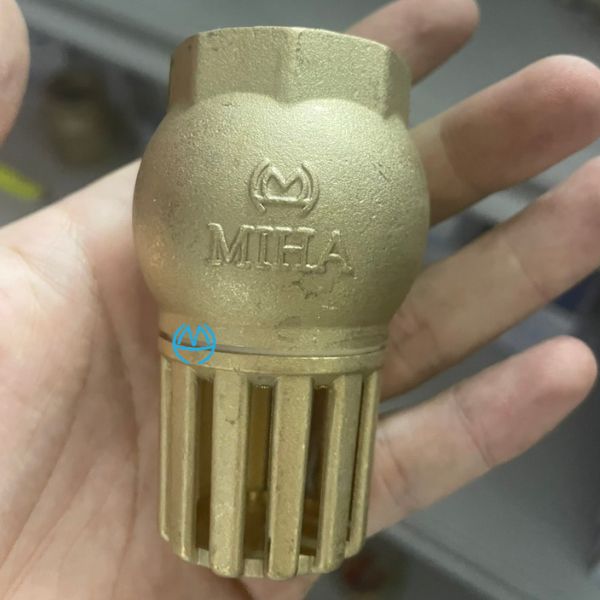 ro-bom-miha-66 (2) rọ bơm miha