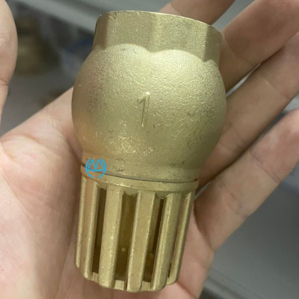 ro-bom-miha-66 (3) rọ bơm miha