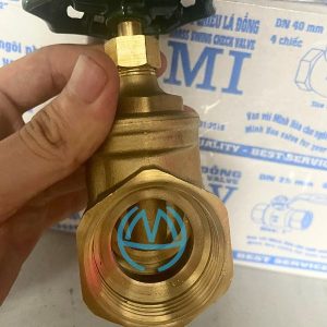 van cửa đồng mi