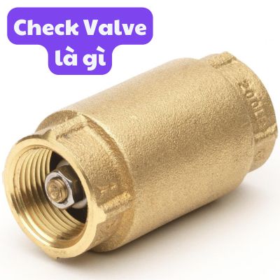 check valve là gì