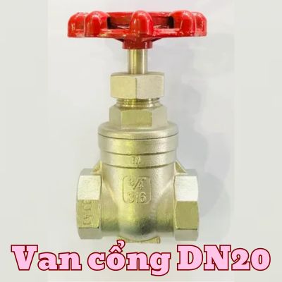 van cổng dn20
