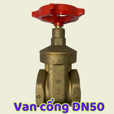 van cổng dn50
